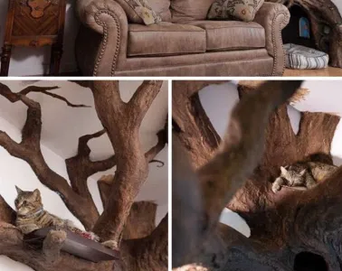 Screenshot 2025 06 14 At 8.13.56 Pm